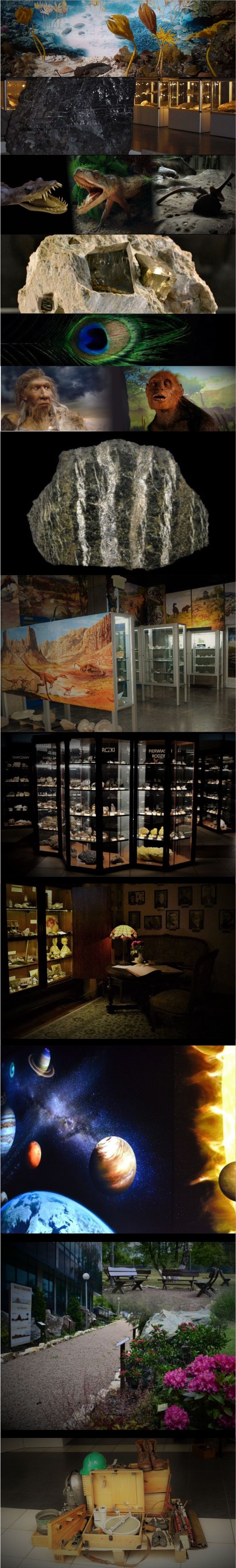 Działalność wystawiennicza