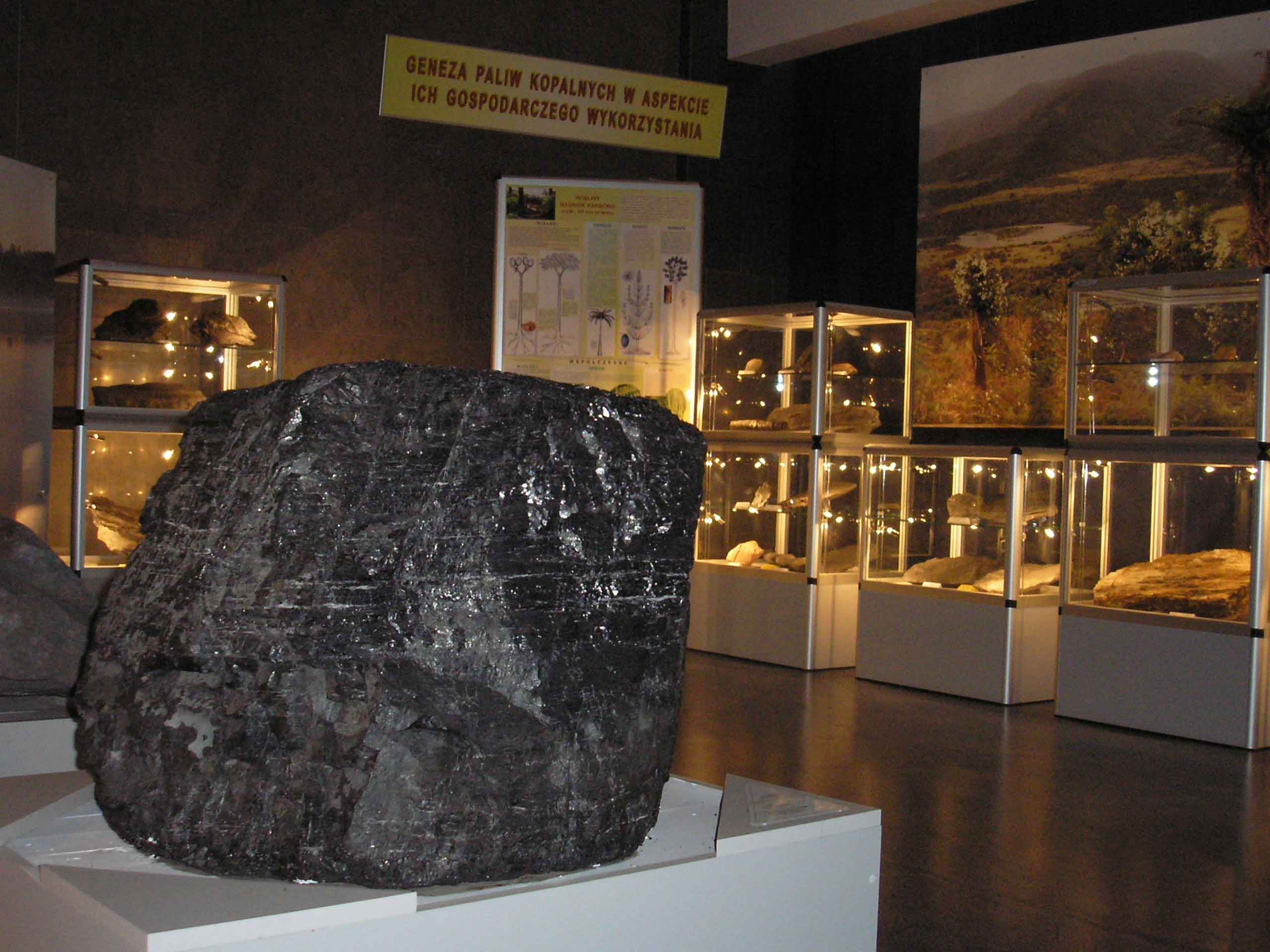 Geneza paliw kopalnych