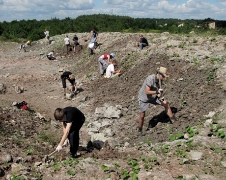 Działalność naukowa